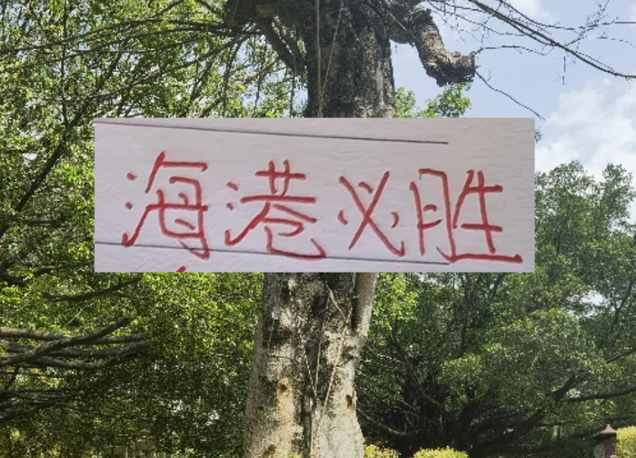 前有奇塔 现有奥斯卡 海港旧将也喜欢度假途径母队|上海海港|奇塔迪尼|足协杯|奥斯卡-罗梅罗|足协_新浪体育_新浪新闻